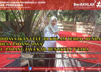 Jurnal Budidaya Kolam Bundar