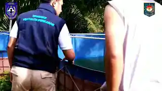 Inovasi Daerah Bule Tersalai