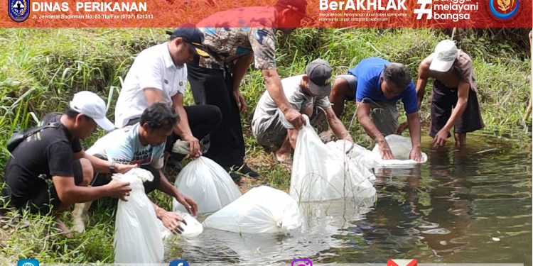 Penyerahan Bantuan Benih Ikan Nila Untuk Kelompok Pembudidaya Ikan dan Karang Taruna