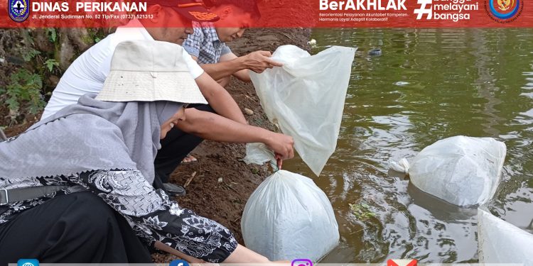 Penyerahan Bantuan Benih Ikan Nila Untuk Kelompok Pembudidaya Ikan dan Karang Taruna