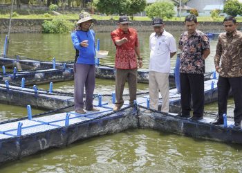 Dinas Perikanan BU lakukan Koordinasi dan Pengadaan Calon Induk Ikan ke Balai Perikanan Budidaya Air Tawar Sungai Gelam, Jambi