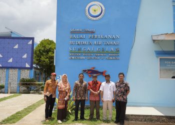 Dinas Perikanan BU lakukan Koordinasi dan Pengadaan Calon Induk Ikan ke Balai Perikanan Budidaya Air Tawar Sungai Gelam, Jambi