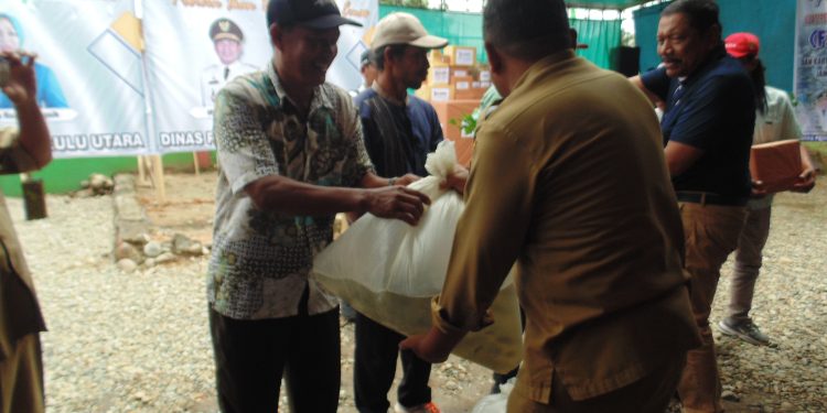 Lomba Masak Serba Ikan Tingkat Kab Bengkulu Utara Th 2024 I Bidang Perizinan